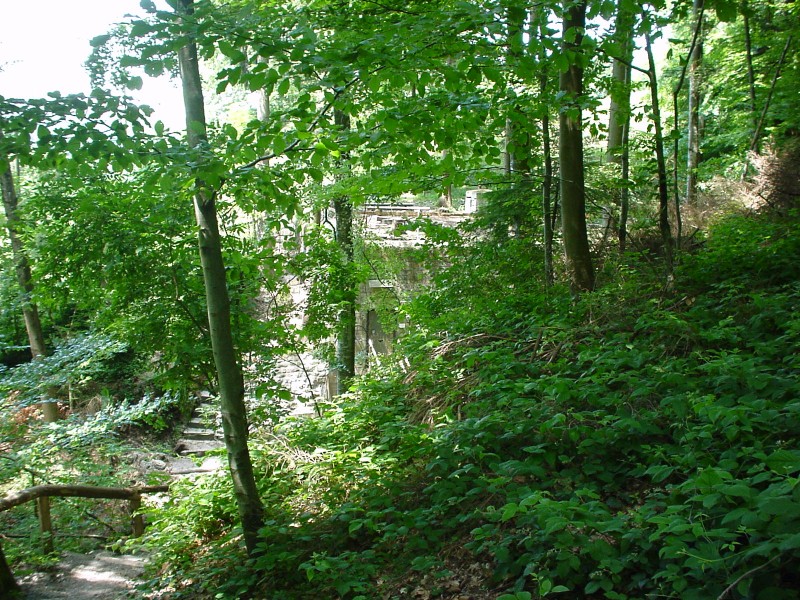 DSC00005.JPG