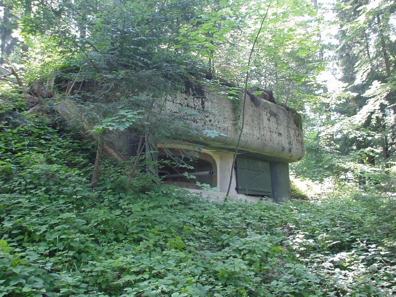DSC00048.JPG