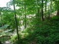 DSC00005