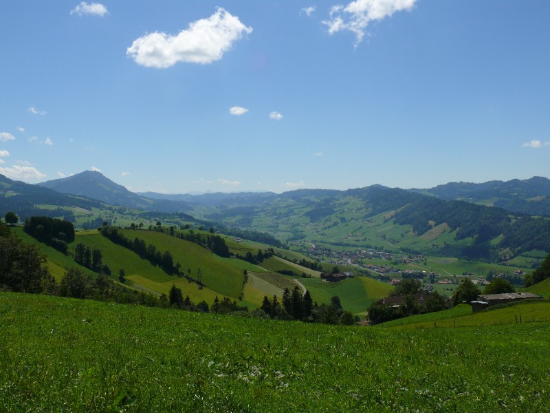 P1040532.JPG