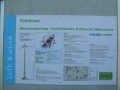 P1040531
